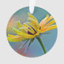 Suche nach blaue blüten ornamente Vögel und blüte