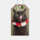 Recherche de chat de joyeux noël Animal