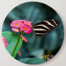 Suche nach rosa schmetterling buttons Natur