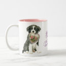 Suche nach border collie tassen Welpe