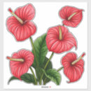Recherche de anthurium autocollants Rouge