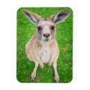 Recherche de kangourou magnets Mignon