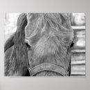 Suche nach graphit poster Portrait