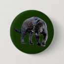 Recherche de jaguar badges Pour tous