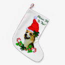 Recherche de corgi pembroke chaussette de noël Pour tous
