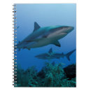 Suche nach kuba kleine notizbücher Jardines de la reina