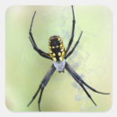 Recherche de arachnids autocollants Déplaisant