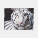 Suche nach bengalischer tiger decken Wilde tiere