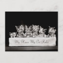 Recherche de animaux habillés cartes postales Pour tous