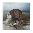 Suche nach goldener labrador fliesen Retriever