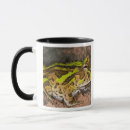 Recherche de vertébré tasses David northcott