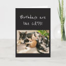 Suche nach komisch geburtstag karten Haustier