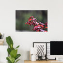 Suche nach ahornbaum poster Natur