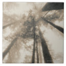 Recherche de photographie noire et blanche carreaux Les etats unis