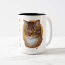 Recherche de whiskers tasses Chat