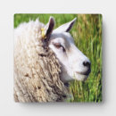 Recherche de élevage photographie Agriculture