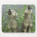 Suche nach heulen mousepads Tier