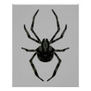 Recherche de araignée posters Arachnide
