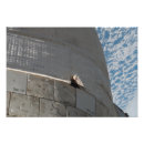 Recherche de 104 posters Horizontal