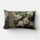 Suche nach großer panda kissen China