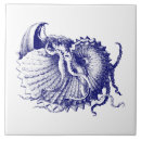 Suche nach nautilus fliesen Blau