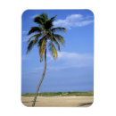 Recherche de tranquille magnets Usa