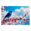 Recherche de oiseaux bleus posters Oiseau bleu