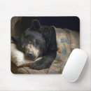 Recherche de ours noirs tapis souris Pour tous