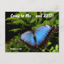 Recherche de butterfly cartes postales Encouragement