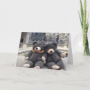 Suche nach name day karten Bär