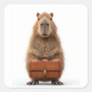 Suche nach capybara aufkleber Spaß