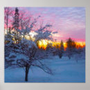 Suche nach wintersonnenuntergang Bäume