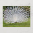 Suche nach stresa poster Lago maggiore