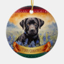 Recherche de de capot ornements Noël