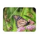 Recherche de monarques magnets Fleur