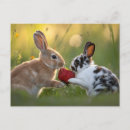 Suche nach ostern kaninchen postkarten Frühling