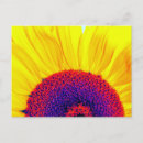 Recherche de psychedelique cartes postales Fleur