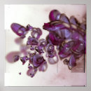 Suche nach abstrakte grafik poster Licht