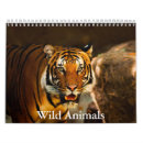Suche nach elefanten kalender Natur