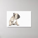 Suche nach pedigree poster Tier