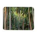Recherche de polynesie magnets Tropical