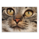 Recherche de écarquillé Mignon