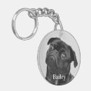 Recherche de mémorial de chien Famille
