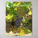 Recherche de vinnie posters Vignoble