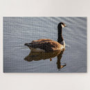 Suche nach gans puzzle See