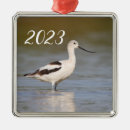 Suche nach vogelbeobachter ornamente Tier