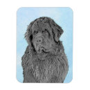Recherche de chien terre neuve magnets Chiot