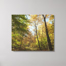 Suche nach herbstwald leinwandbilder Rückgang