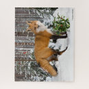Recherche de renards puzzles Forêt