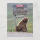 Suche nach grizzlybär postkarten Alaska
